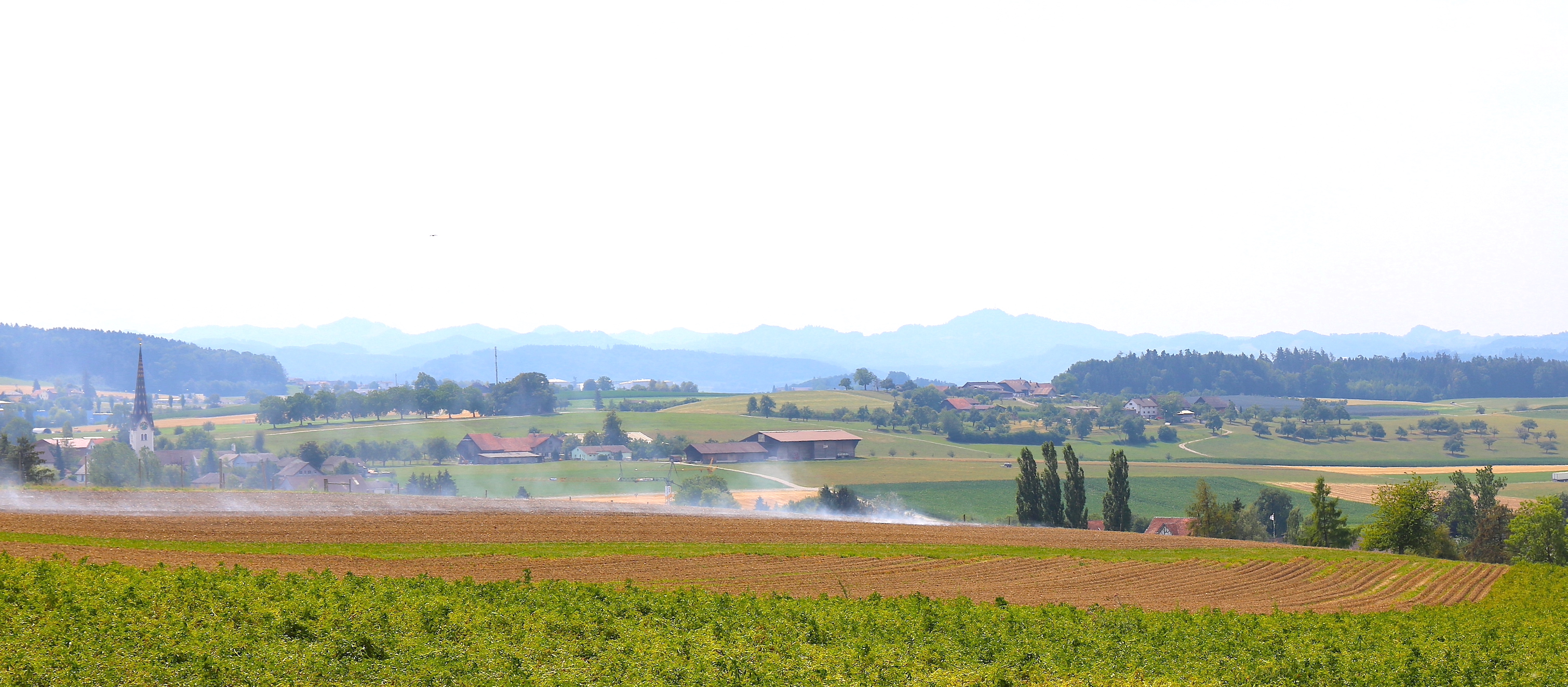 Thurgau