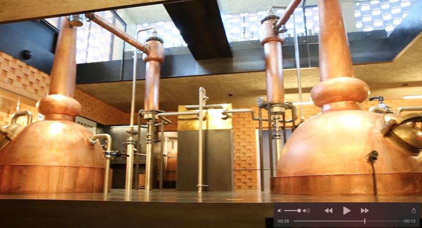 Puni stills